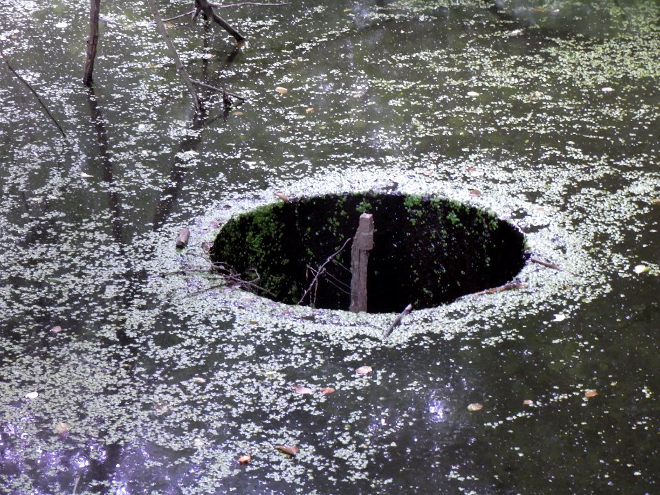 Pfingstborner Bach Waldteich Abfluss? R0017043