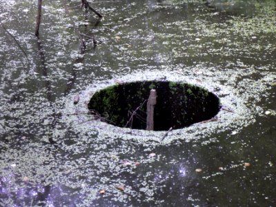 Pfingstborner Bach Waldteich Abfluss? R0017043