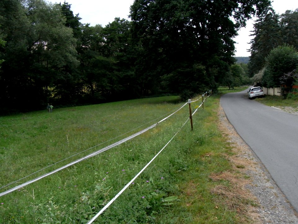 Pfingstborner Bach auf Wiese unter Pfingstborn R0017088