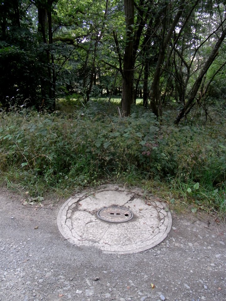 Pfingstborner Bach Hydrant R0017057