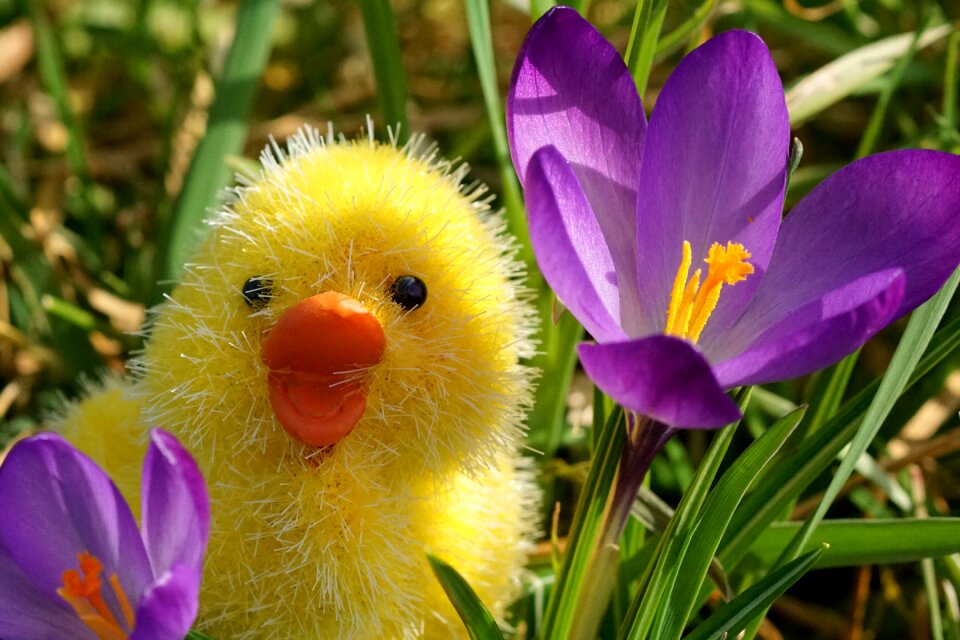 Happy easter decoration deco