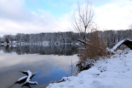 Pfaueninsel from Düppeler Forst with snow 2021-01-30 13