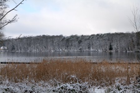Pfaueninsel from Düppeler Forst with snow 2021-01-30 24