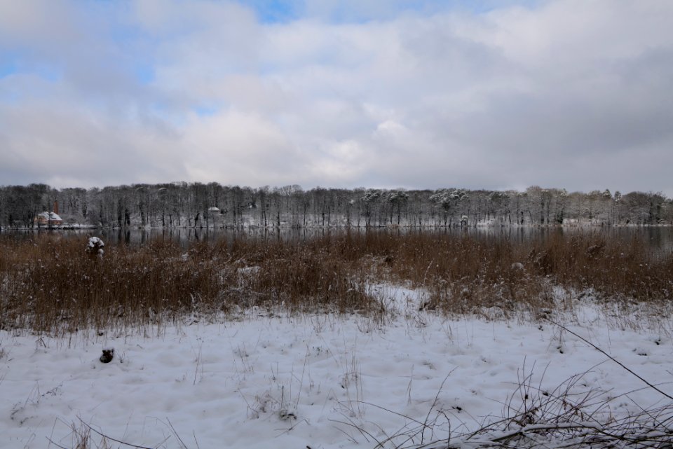 Pfaueninsel from Düppeler Forst with snow 2021-01-30 18