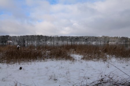 Pfaueninsel from Düppeler Forst with snow 2021-01-30 18