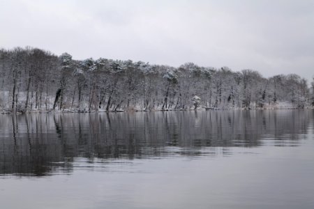 Pfaueninsel from Düppeler Forst with snow 2021-01-30 15