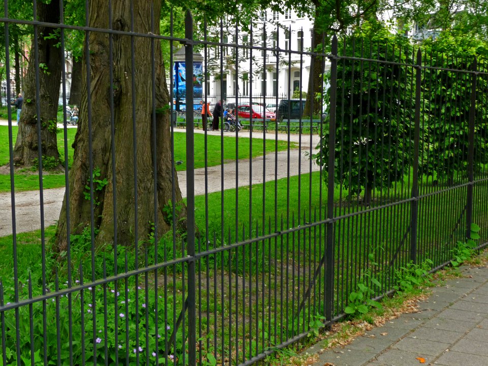 Photo of the fence and tree trunks in the Wertheim park in Amsterdam; a high resolution image by FotoDutch in June 2013