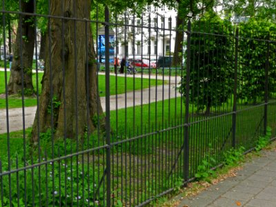 Photo of the fence and tree trunks in the Wertheim park in Amsterdam; a high resolution image by FotoDutch in June 2013 photo