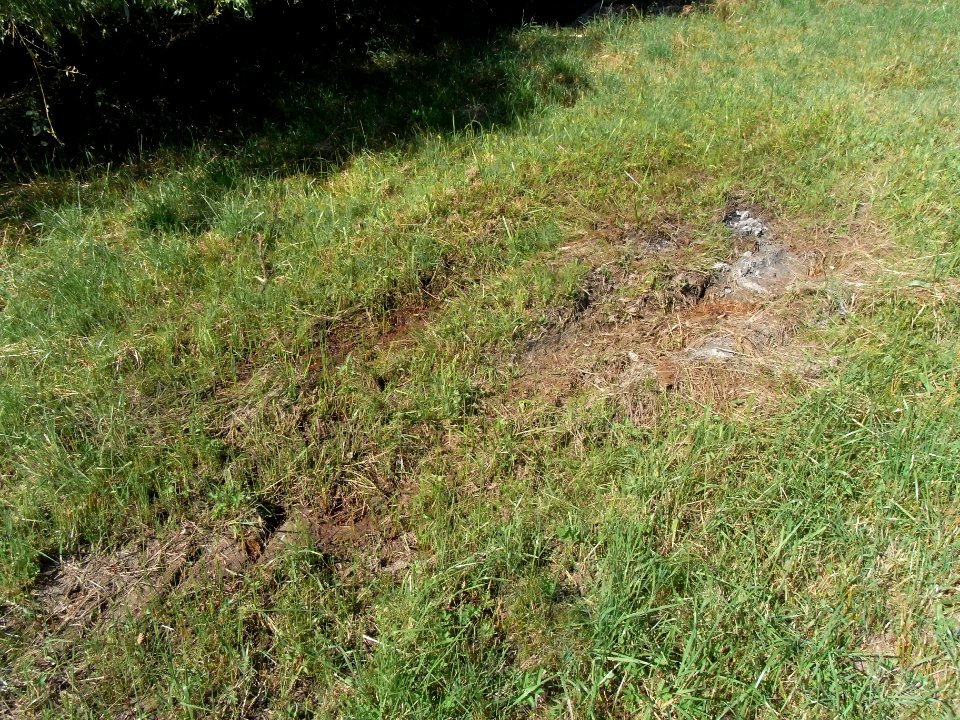 Pfingstborner Bach Zufluss Fasanenstraße Sickerquellen R0017248