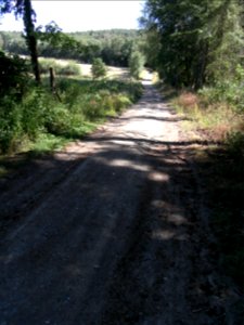 Pfingstborner Bach Zufluss Eichwäldchen Graben Weg R0017235