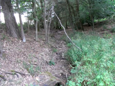 Pfingstborner Bach unter Mündung Graben an Wiese R0017055