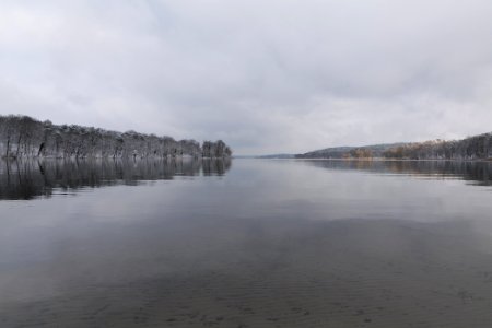 Pfaueninsel and Wannsee from Düppeler Forst with snow 2021-01-30 04