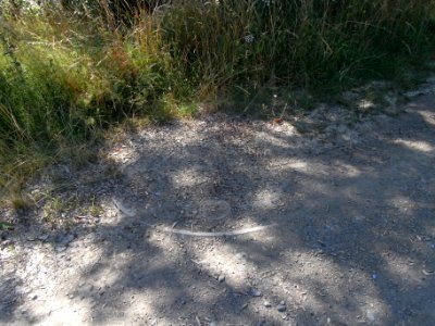 Pfingstborner Bach Hydrant R0017223