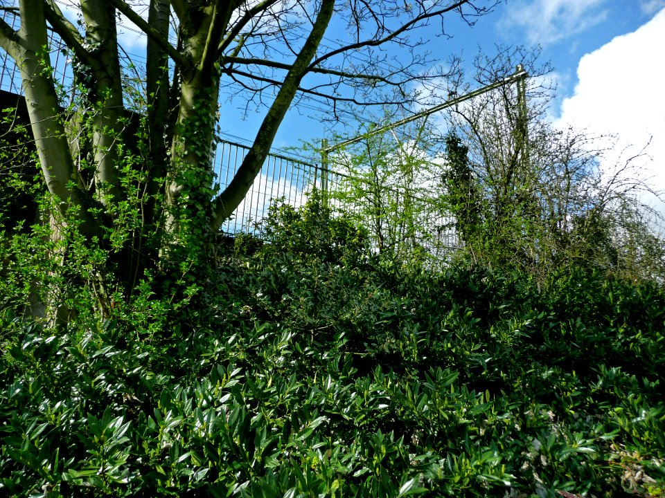 Photo of train embankment with clear sky, around the east-side of Amsterdam city; FotoDutch, April 2013
