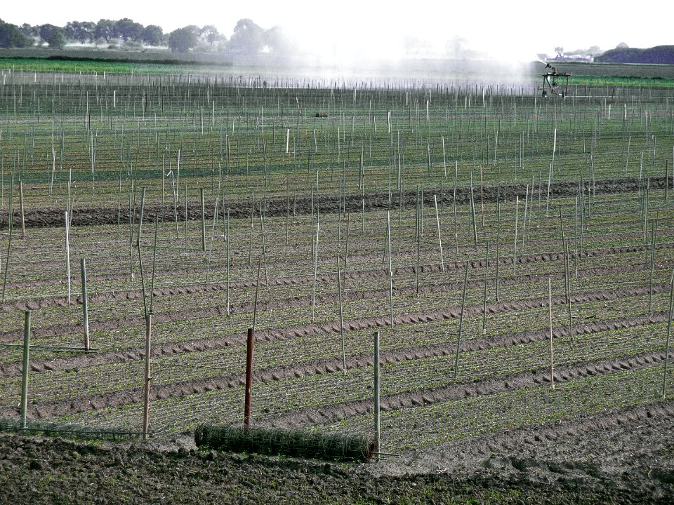 Photo of a water sprayer in the dry fields near Oranjekanaal in Midden-Drenthe, Netherlands; spring 2012
