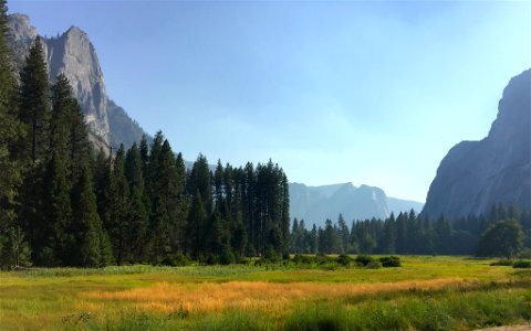 Phone Camera Yosemite National Park California (165950117)