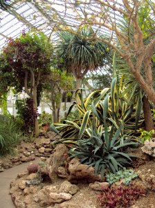 Phipps Conservatory Desert Room, 2015-10-24, 01