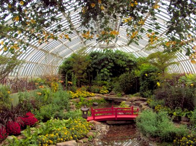 Phipps Conservatory East Room, 2015-10-24, 01