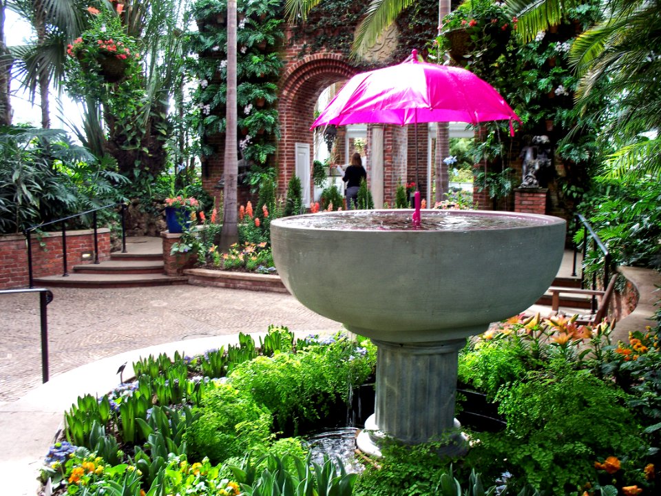 Phipps Conservatory Spring Flower Show 2015-03-13, Palm House 01