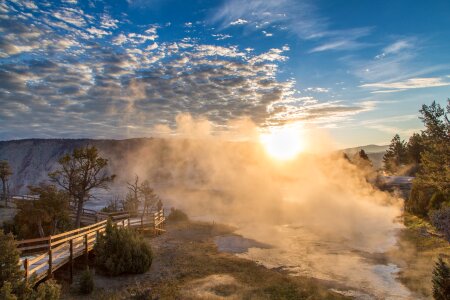 Mammoth hot springs steam dawn