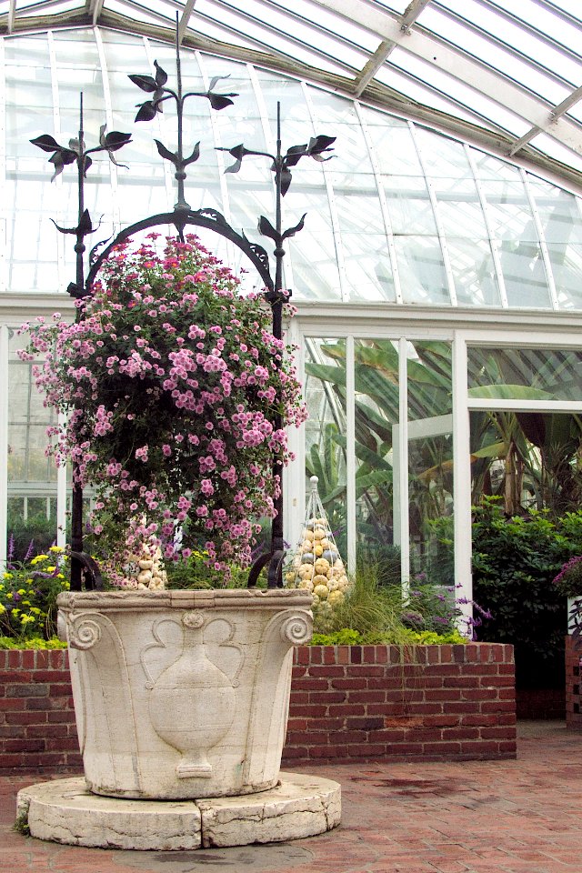 Phipps Conservatory, Wishing Well in the Broderie Room, 2015-10-24, 01
