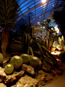 Phipps-Conservatory-5