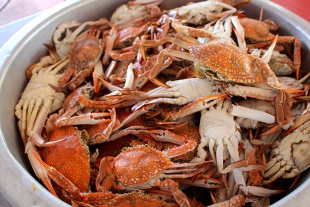 Lunch seafood meal