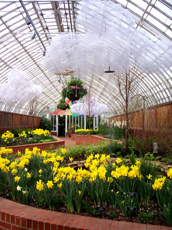 Phipps Conservatory Spring Flower Show 2015-03-13, Serpentine Room 01