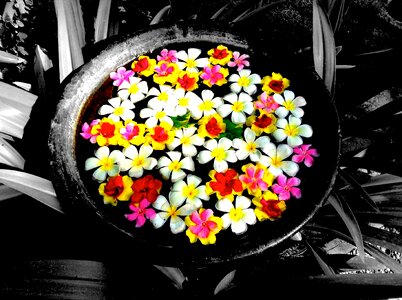 Gift welcome colorful