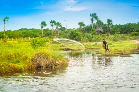 Brazil landscape tranquility
