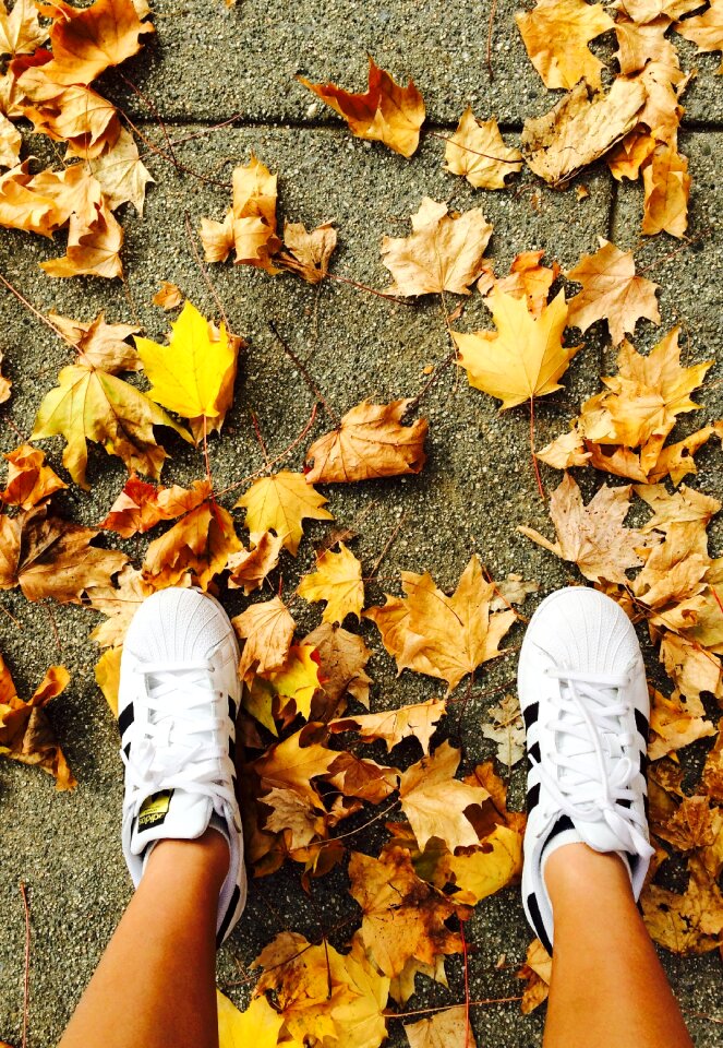 Autumn ground adidas