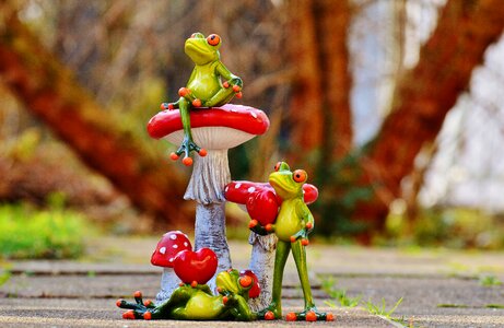 Funny cute animals