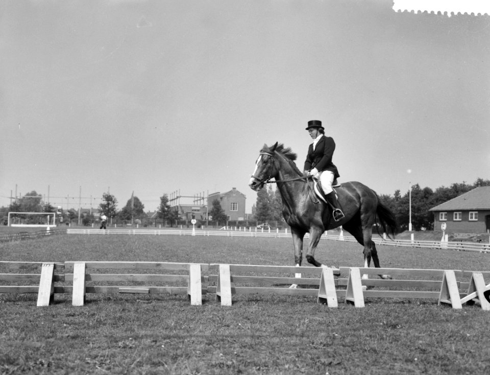 Prinses Armgard op Internationaal Concours Hippique, Bestanddeelnr 911-3642