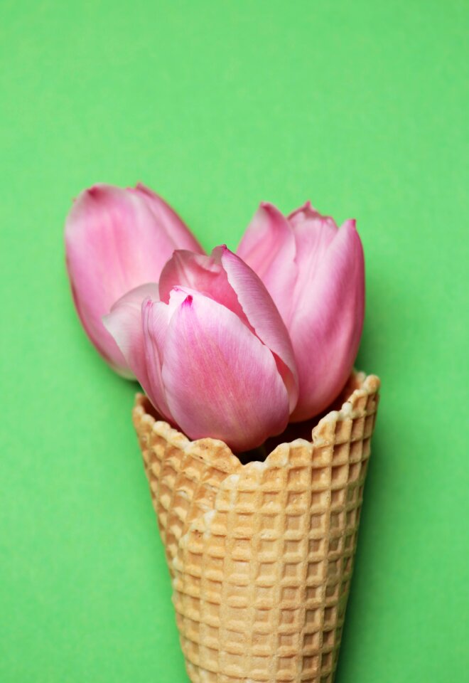 Ice cream cone waffle green