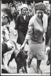 Prinses Beatrix heeft een bezoek gebracht aan het Jeugdfestival Velp '62. Het fe, Bestanddeelnr 021-0470
