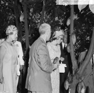 Prinses Beatrix in Suriname, de Prinses krijgt uitleg van ir. Samson over de cac, Bestanddeelnr 917-5332