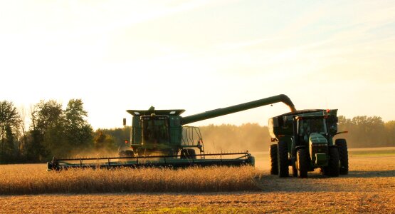Harvesting soybean agriculture photo