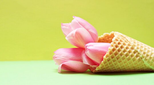 Ice cream cone waffle yellow photo