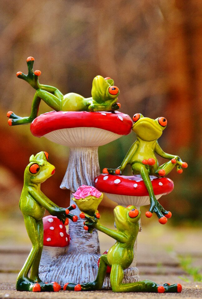 Funny cute animals