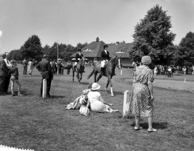 Prinses Armgard op Internationaal Concours Hippique, Bestanddeelnr 911-3641