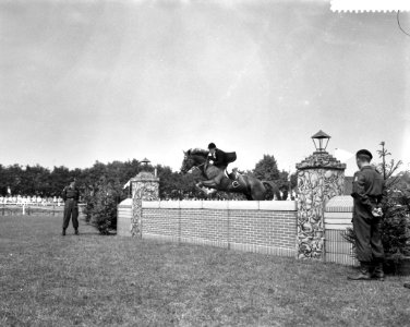 Prinses Armgard op Internationaal Concours Hippique, Bestanddeelnr 911-3644