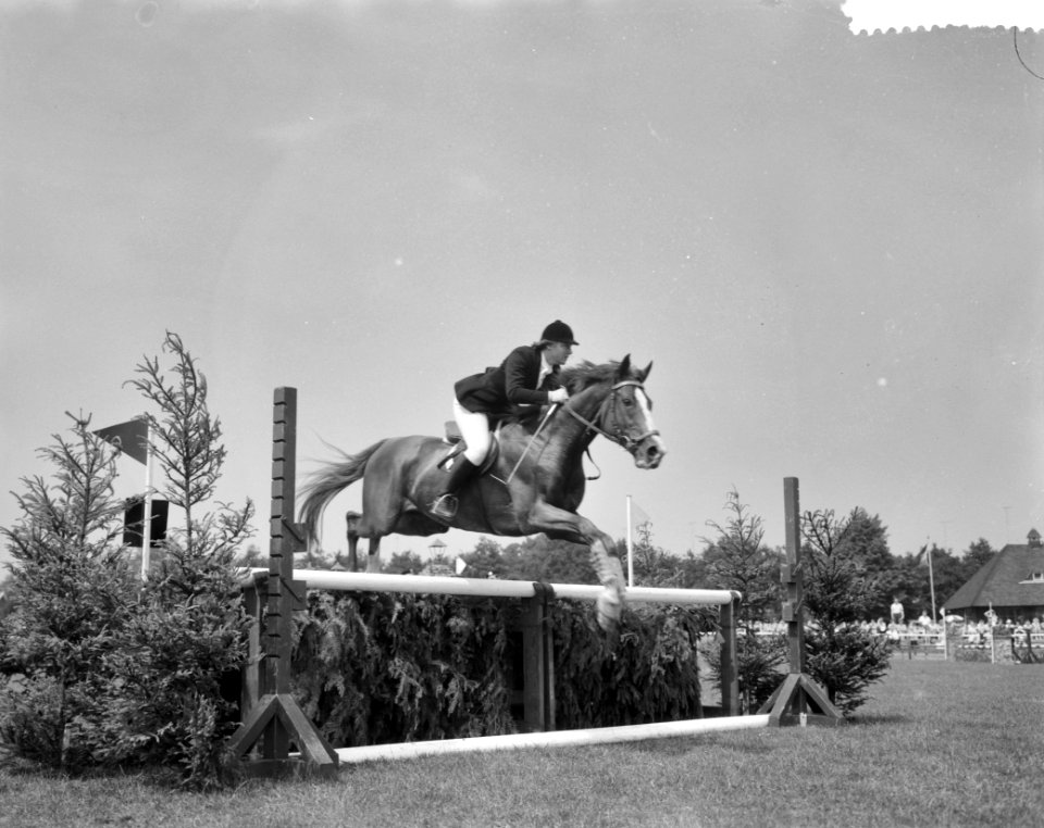 Prinses Armgard op Internationaal Concours Hippique, Bestanddeelnr 911-3645