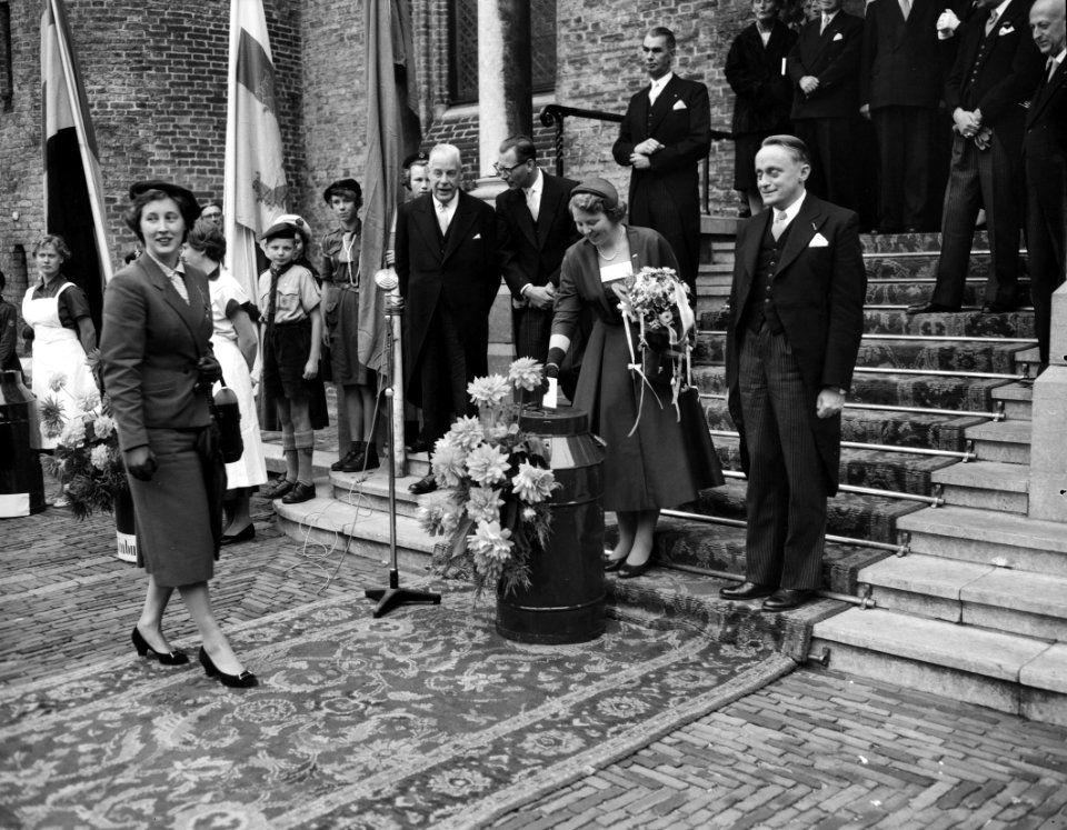 Prinses Beatrix beschermvrouwe Polioactie, Bestanddeelnr 907-9963