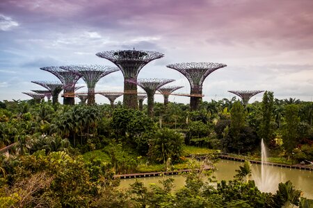Garden nature asia
