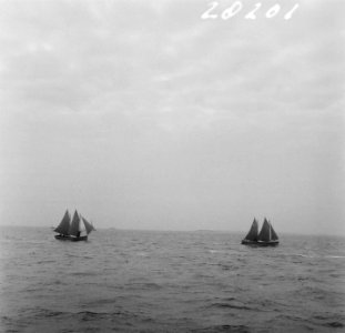 Prinselijk paar in Den Helder. Marine sloepen in de strijd, Bestanddeelnr 902-8201