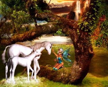 Fairy tales mystical horse photo