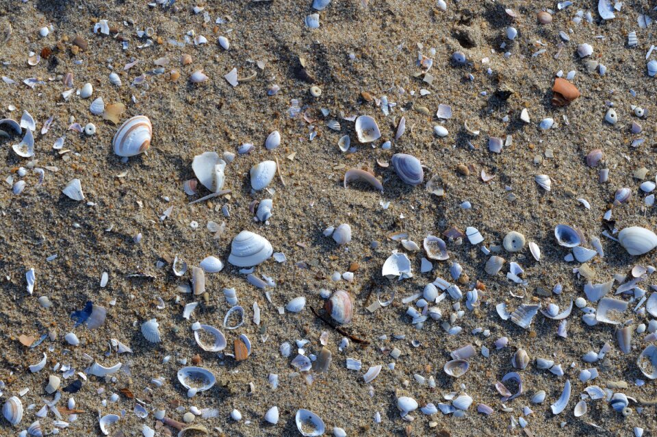 Sand nature background