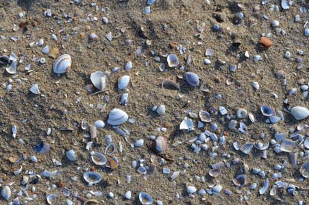 Sand nature background