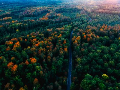 Autumn landscape nature