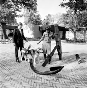 Prinses Margriet en mr Pieter van Vollenhoven in nieuw huis in Apeldoorn Margr, Bestanddeelnr 928-2258